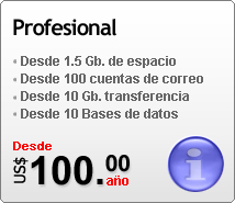 Plan de hosting Profesional dominio gratis, desde 600Mb de espacio, desde 100 cuentas de correo, desde 10Gb. de transferencia mensual, desde 10 base de datos.