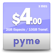 Planes profesionales de hosting para empresas